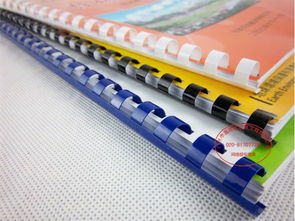 青海優(yōu)質(zhì)圖文設(shè)計(jì)與軟件開發(fā) 簡膠裝畫冊(cè)與西寧創(chuàng)新服務(wù)