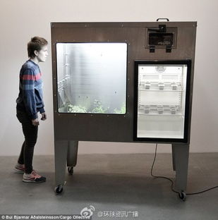 科技與味蕾的奇遇 軟件開(kāi)發(fā)視角下的昆蟲(chóng)巧克力